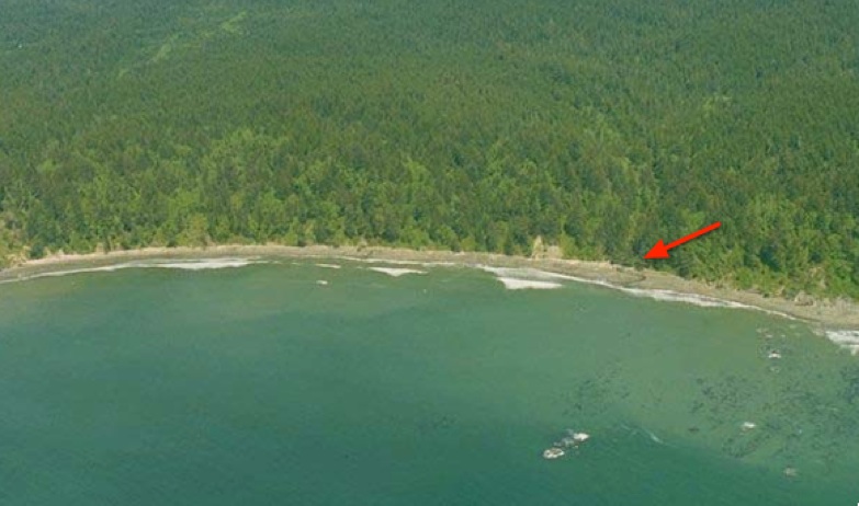 Aerial Picture of Third Beach